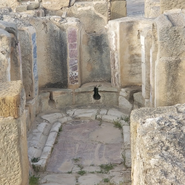 Roman Poop Did the ancient Romans share their toilet sponge? – Archaeology Mysteries