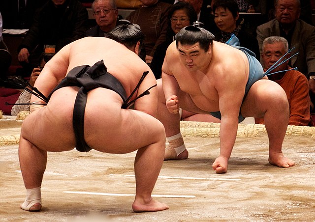 Sumo wrestlers in 2010 in Japan